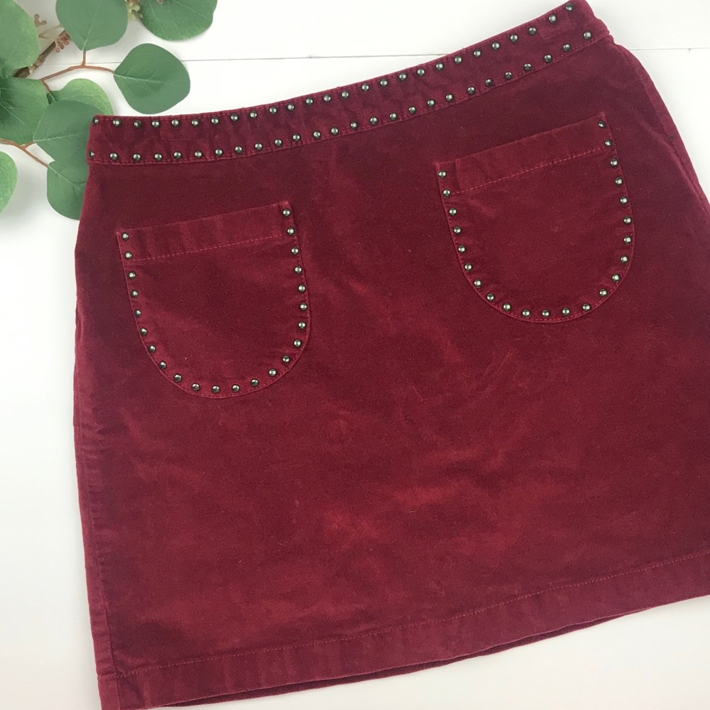 Velvet A- Line Skirt with Studded Detail